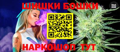МДПВ Пенза
