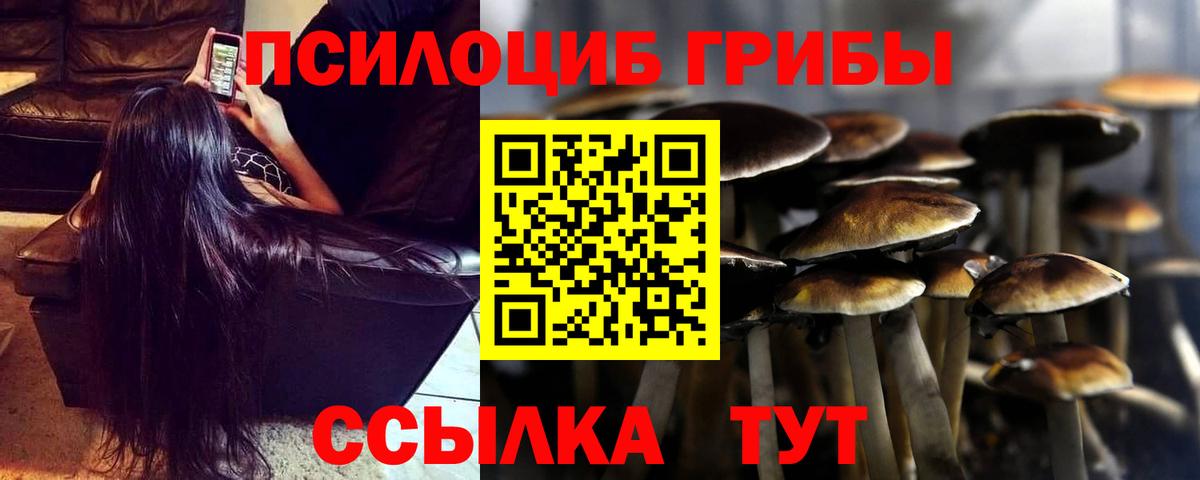 Псилоцибиновые грибы Psilocybine cubensis  Вход с VPN  Тольятти 