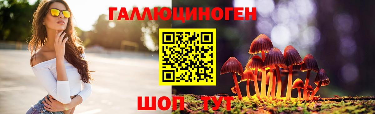 Псилоцибиновые грибы мицелий Тольятти